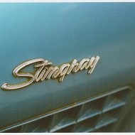 Stingray